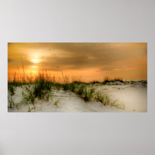 Seemöwen am Sonnenaufgang Poster