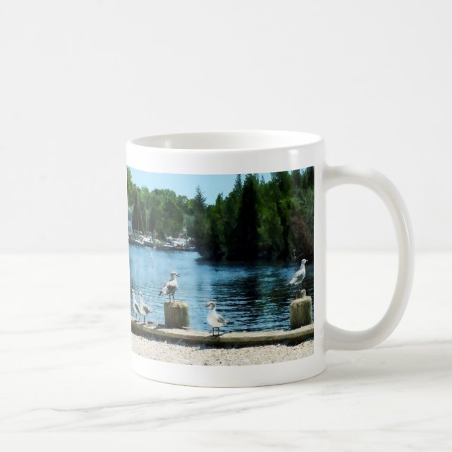 Seemöwen auf Pier Tasse (Rechts)