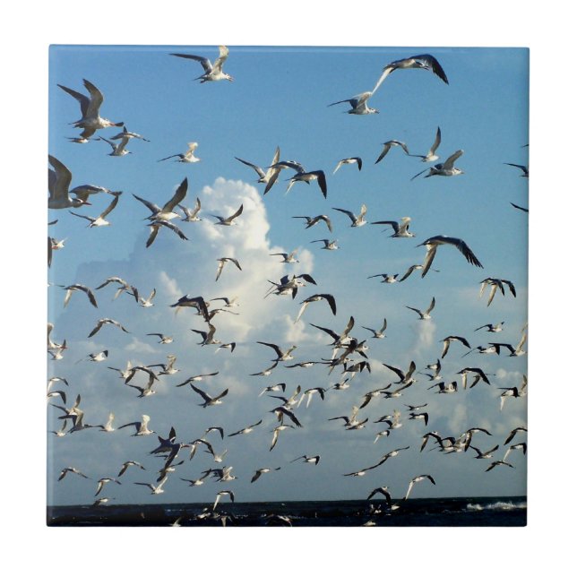 Seemöwen, die über Strand fliegen Fliese (Vorderseite)