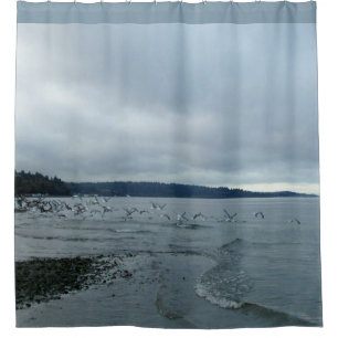 Seemöwen über Puget Sound-Strand Duschvorhang