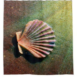 SeeMuschel Duschvorhang