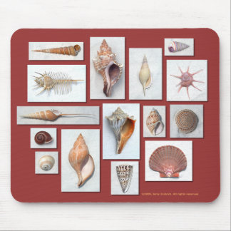 SeeMuschel-Mausunterlage Mousepad