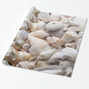 SeeMuschel-u. -Starfish-Hintergrund - Geschenkpapier