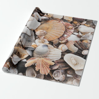 SeeMuschelentwurfs-Verpackungspapier Geschenkpapier