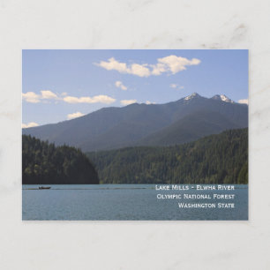 Seen - Elwha River Postcard Postkarte