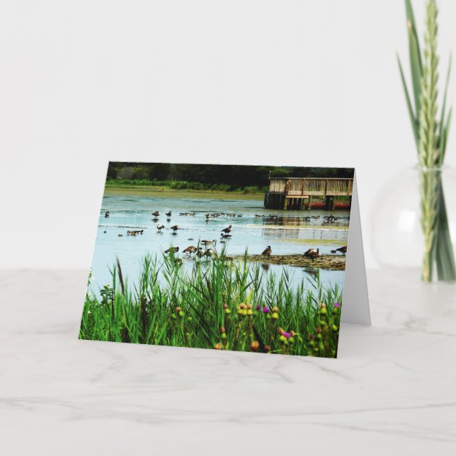 Seen mit Cattails Enten und Dock Karte (Vorderseite)