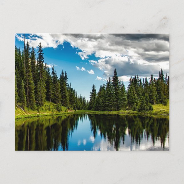 Seen und Evergreen Tree Lined Postcard Postkarte (Vorderseite)