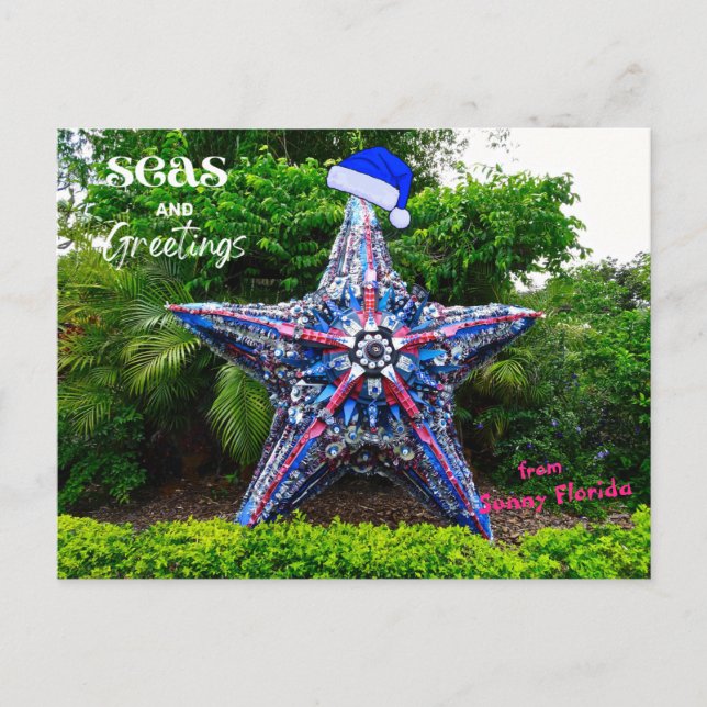 Seen und Grüße von Sunny Florida Weihnachten Postkarte (Vorderseite)