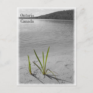 Seen von Ontario, Kanada Postcard Black & White Postkarte