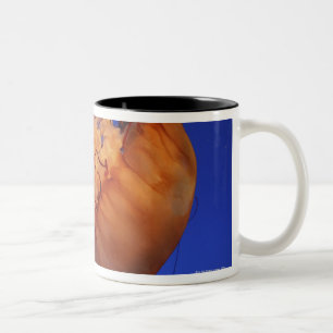 Seenesselquallen Zweifarbige Tasse