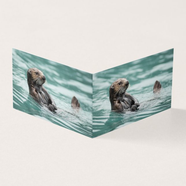 Seeotter (Vorderseite)