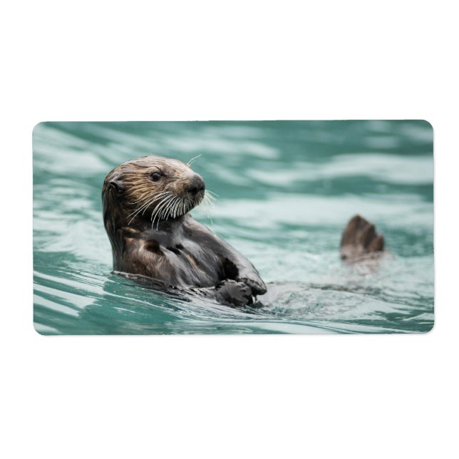 Seeotter (Vorne)