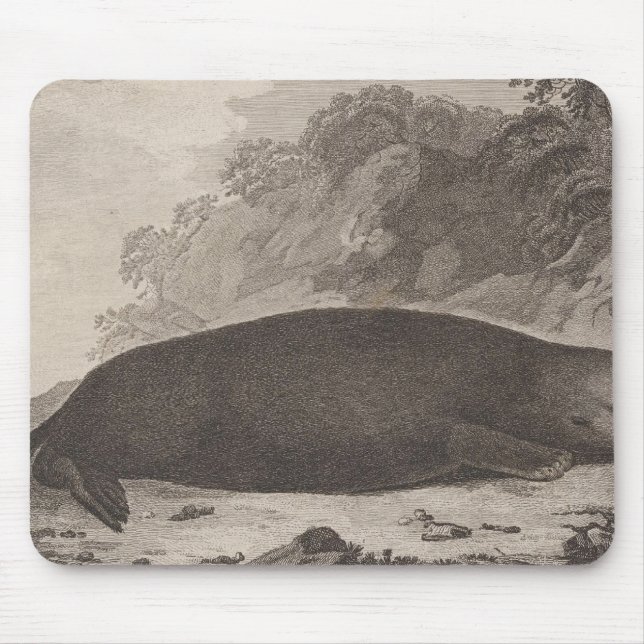 Seeotter, British Columbia Mousepad (Vorne)