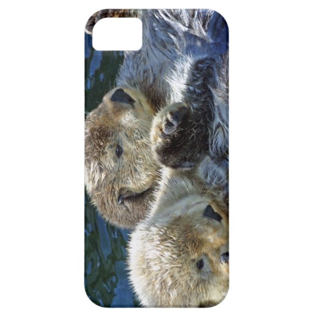 Seeotter Case-Mate iPhone Hülle (Rückseite)