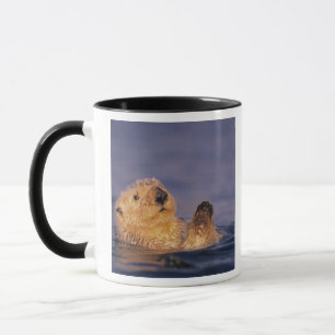 Seeotter, Enhydra lutris 2 Tasse