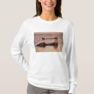 Seeotter, Enhydra lutris 3 T-Shirt