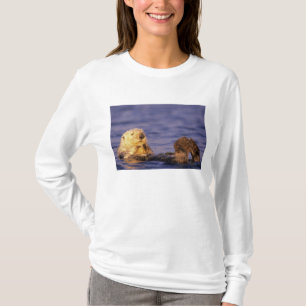 Seeotter, Enhydra lutris 4 T-Shirt