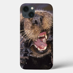 Seeotter, Enhydra lutris 6 Case-Mate iPhone Hülle
