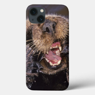 Seeotter, Enhydra lutris 6 Case-Mate iPhone Hülle