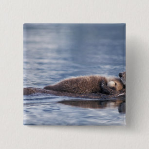 Seeotter, Enhydra lutris lutris Button