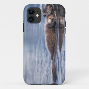 Seeotter, Enhydra lutris lutris Case-Mate iPhone Hülle