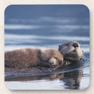 Seeotter, Enhydra lutris lutris Getränkeuntersetzer