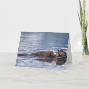 Seeotter, Enhydra lutris lutris Karte
