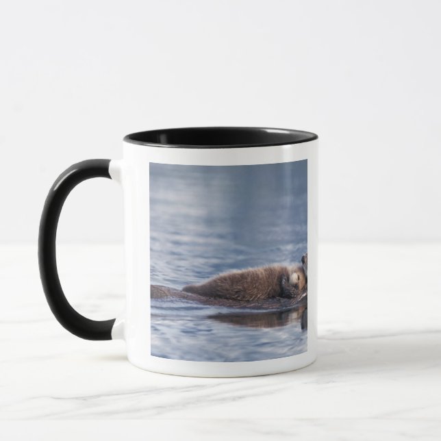 Seeotter, Enhydra lutris lutris Tasse (Links)
