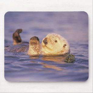 Seeotter, Enhydra lutris Mousepad