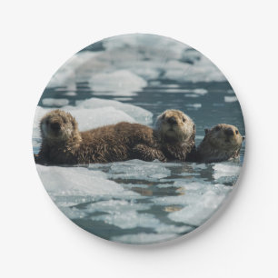 Seeotter-Familie Pappteller