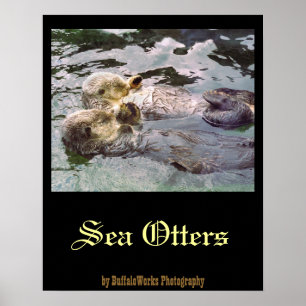 Seeotter halten Händchen Poster
