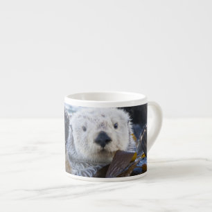 Seeotter in Seetang umhüllt Espressotasse