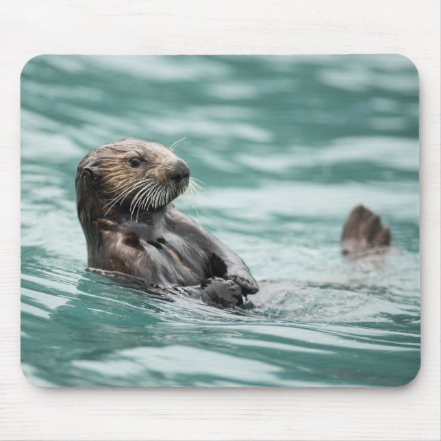 Seeotter Mousepad (Vorne)