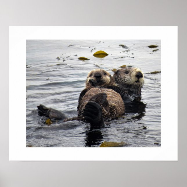 Seeotter-Mutter und Jungtier Poster (Vorne)