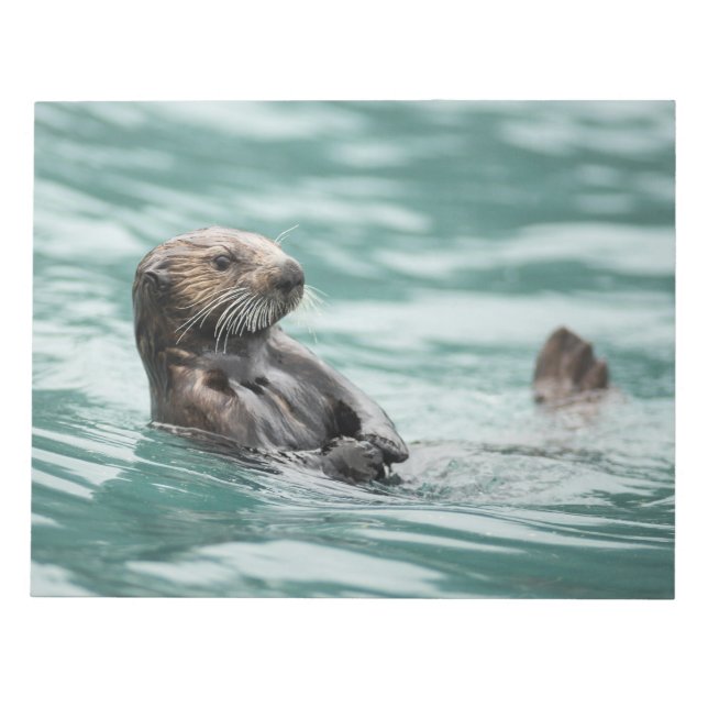 Seeotter Notizblock (Vorderseite)