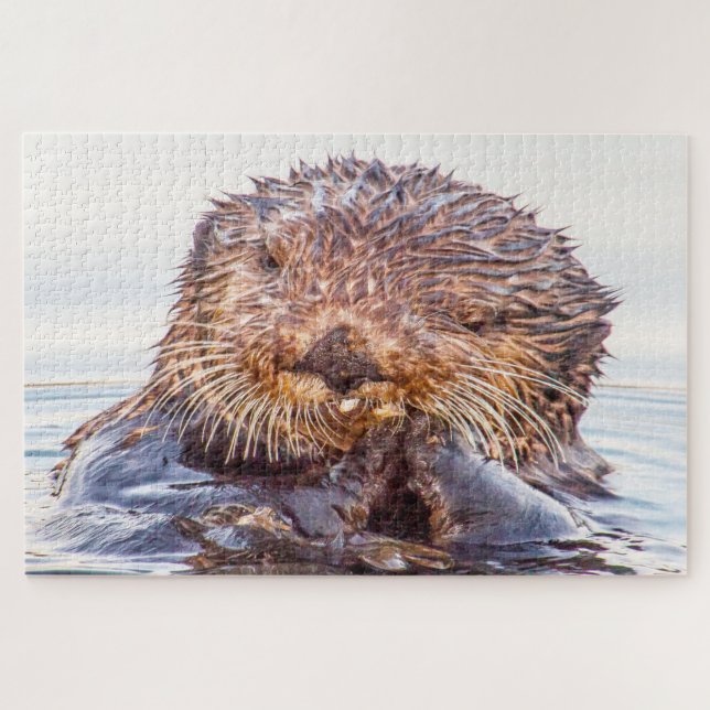 Seeotter Puzzle (Horizontal)