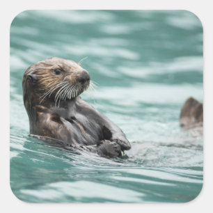 Seeotter Quadratischer Aufkleber