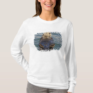 Seeotter spielen auf Eisbergen am Surprise Inlet T-Shirt