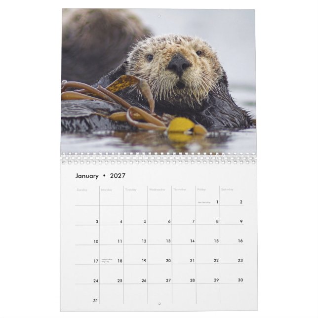 Seeotter und Wandkalender des Siegel-2015 - wild (Jan 2027)