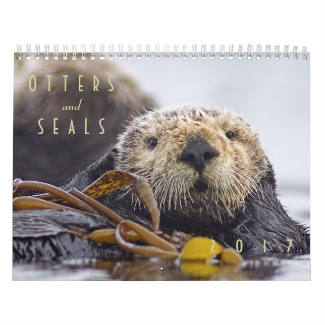 Seeotter und Wandkalender des Siegel-2017 - wild (Titelbild)