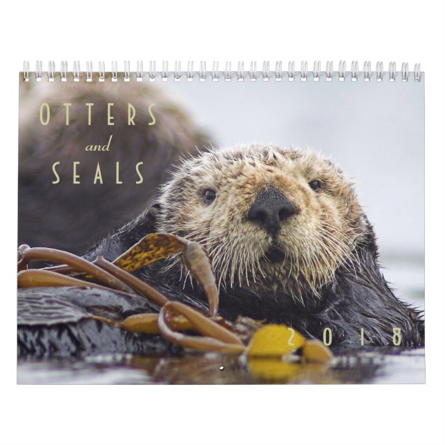 Seeotter und Wandkalender des Siegel-2018 - wild (Titelbild)
