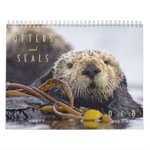 Seeotter und Wandkalender des Siegel-2018 - wild