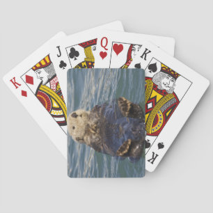 Seeotterspiel auf Eisbergen am Spielkarten