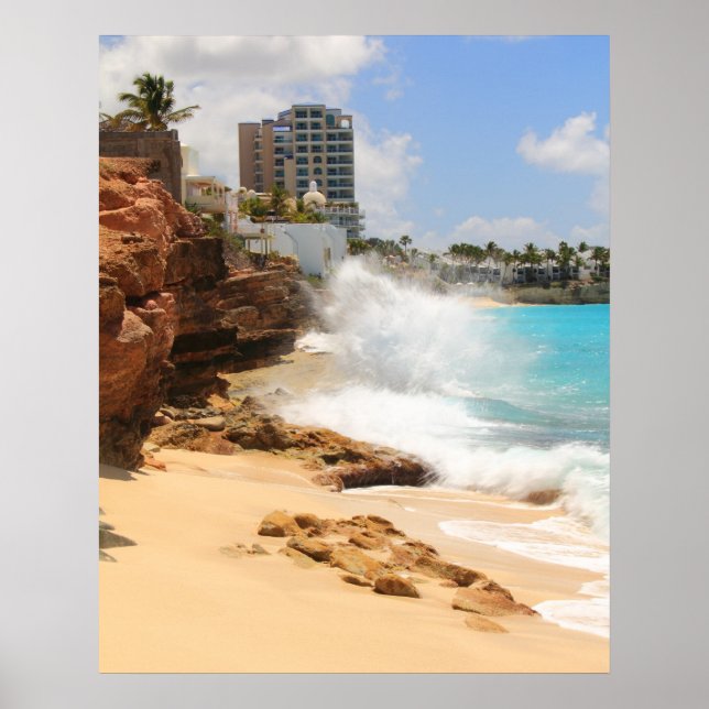 Seepause bei Cupecoy Beach Cliffs, St. Maarten Poster (Vorne)