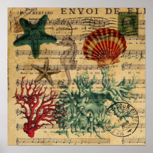 Seepferd der tropischen Küstenkorallenmuscheln Poster