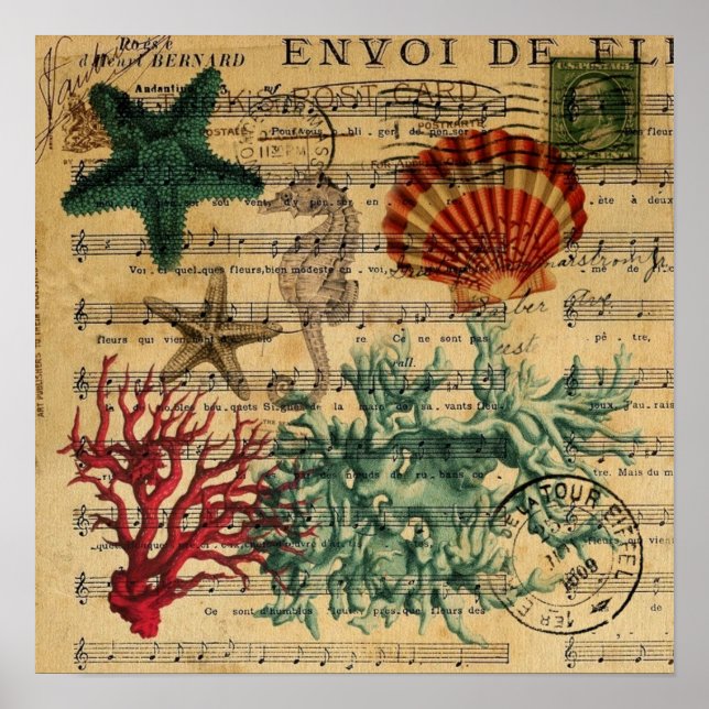 Seepferd der tropischen Küstenkorallenmuscheln Poster (Vorne)