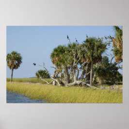 Seepferd Key Bird Rookery Print Poster