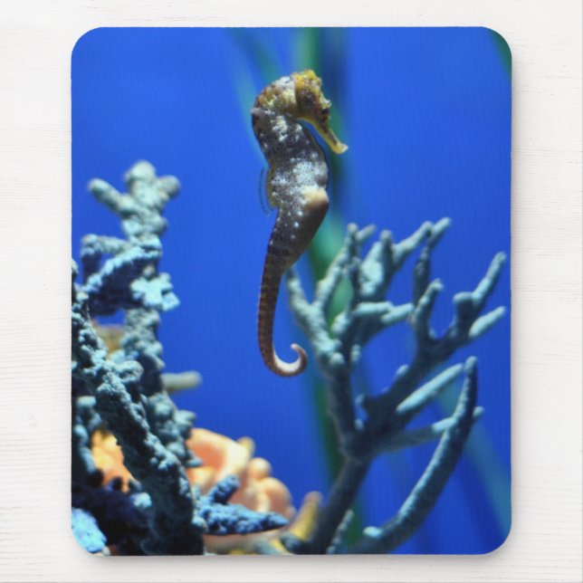 Seepferd-Magie Mousepad (Vorne)