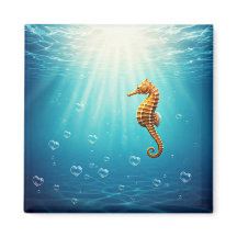 Seepferd mit Herzblasen