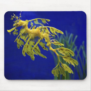 Seepferd Mousepad